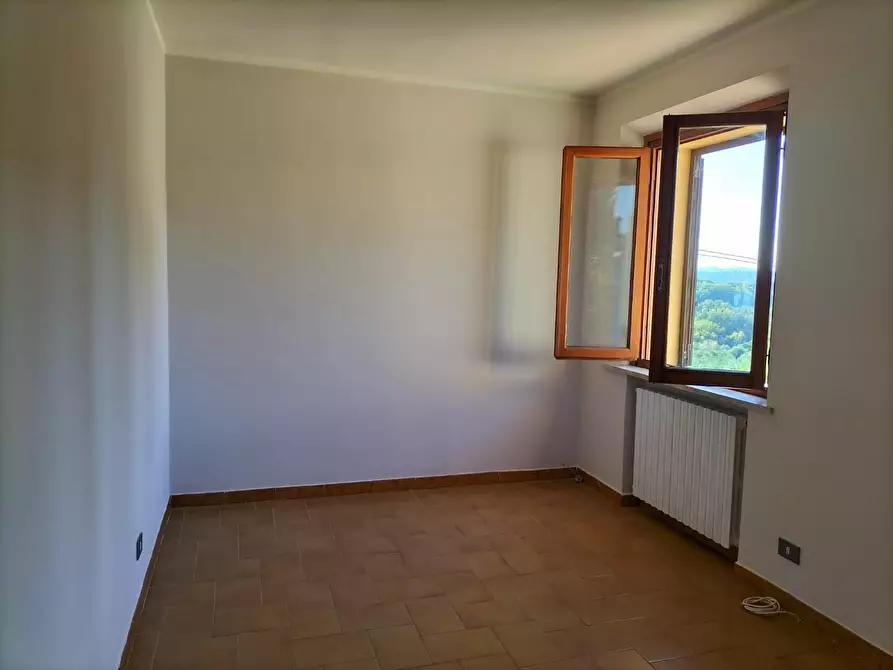 Immagine 9 di Appartamento in vendita  a Terricciola