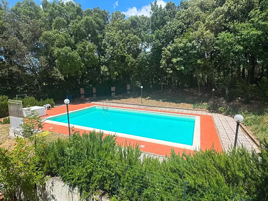 Immagine 24 di Appartamento in vendita  a Santa Luce