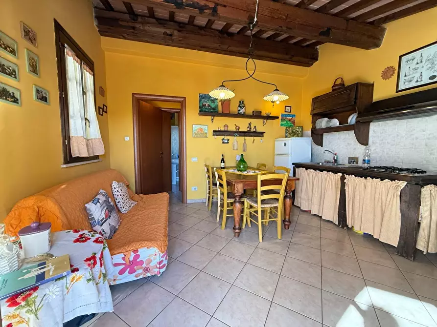 Immagine 13 di Appartamento in vendita  a Santa Luce