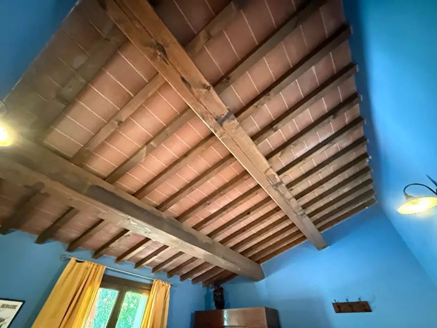 Immagine 16 di Appartamento in vendita  a Santa Luce