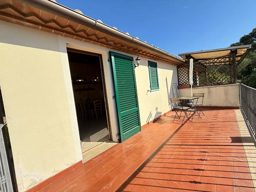 Immagine 3 di Appartamento in vendita  a Santa Luce