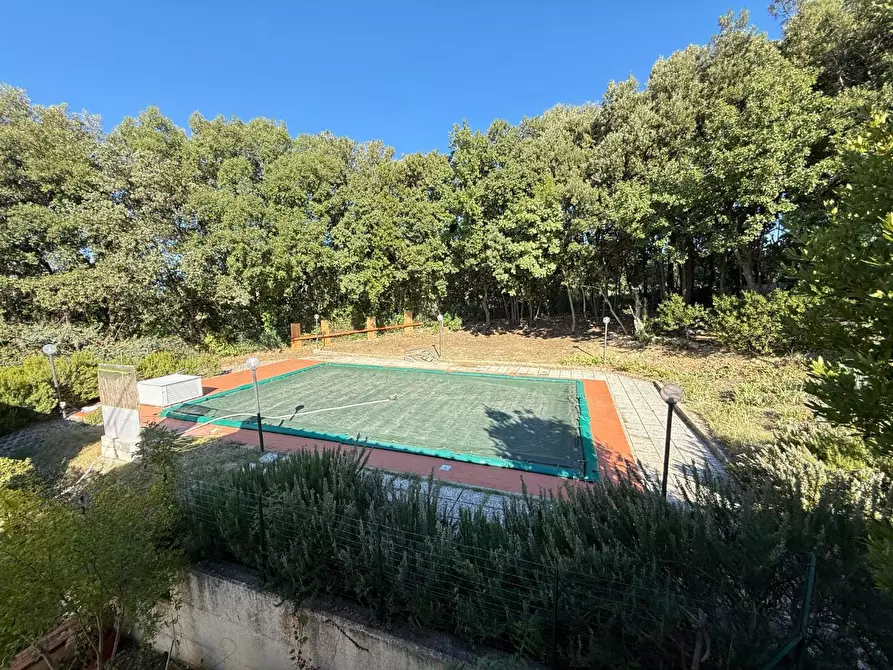 Immagine 17 di Appartamento in vendita  a Santa Luce