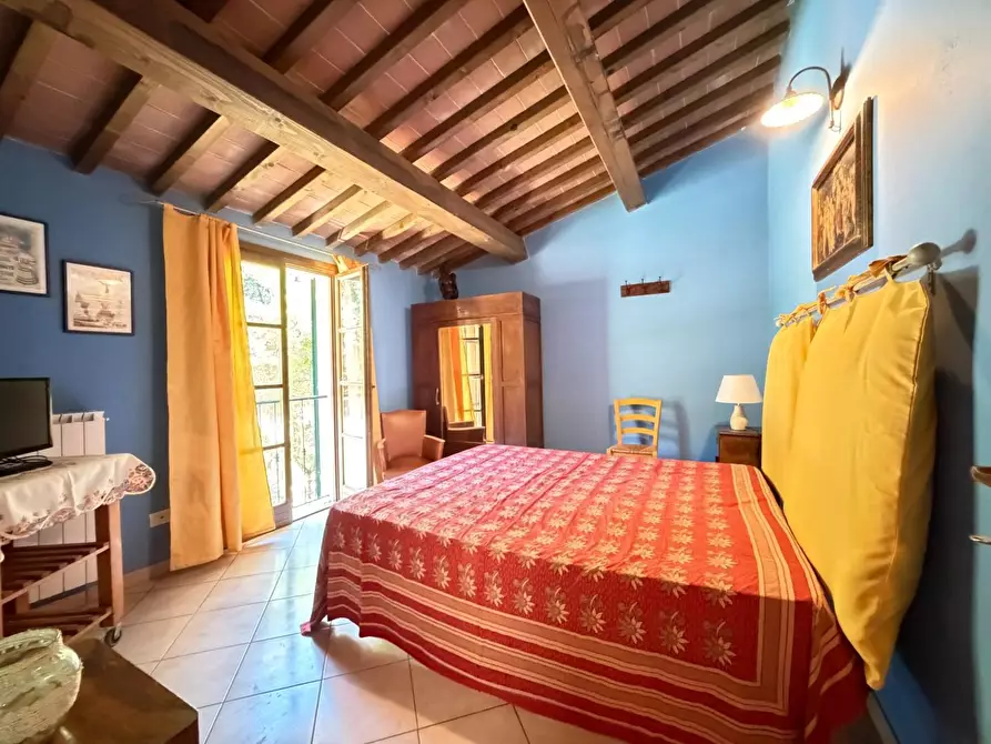 Immagine 20 di Appartamento in vendita  a Santa Luce