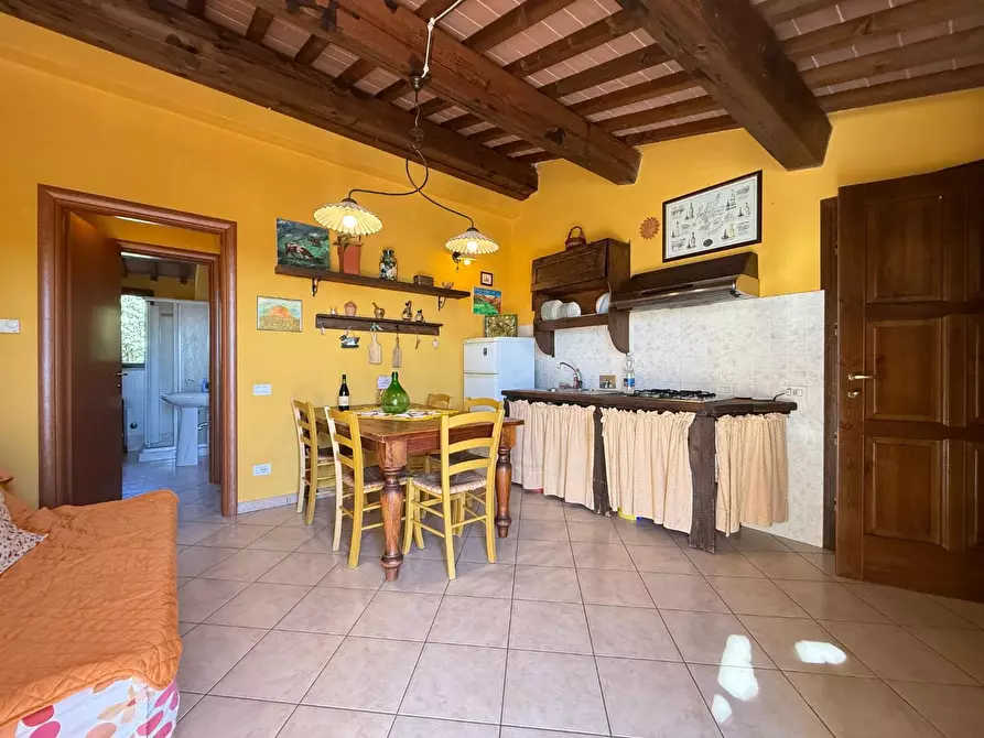 Immagine 11 di Appartamento in vendita  a Santa Luce