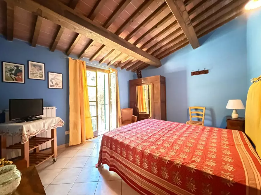 Immagine 18 di Appartamento in vendita  a Santa Luce