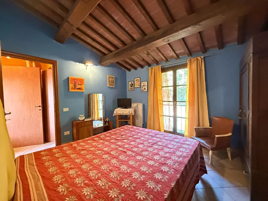 Immagine 19 di Appartamento in vendita  a Santa Luce