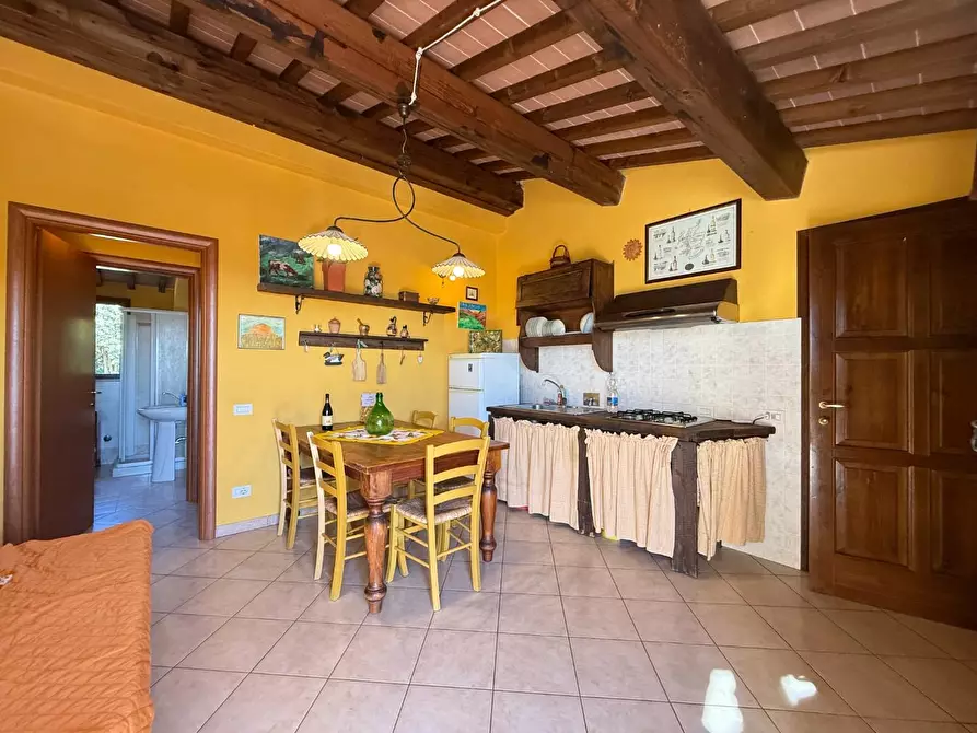 Immagine 21 di Appartamento in vendita  a Santa Luce