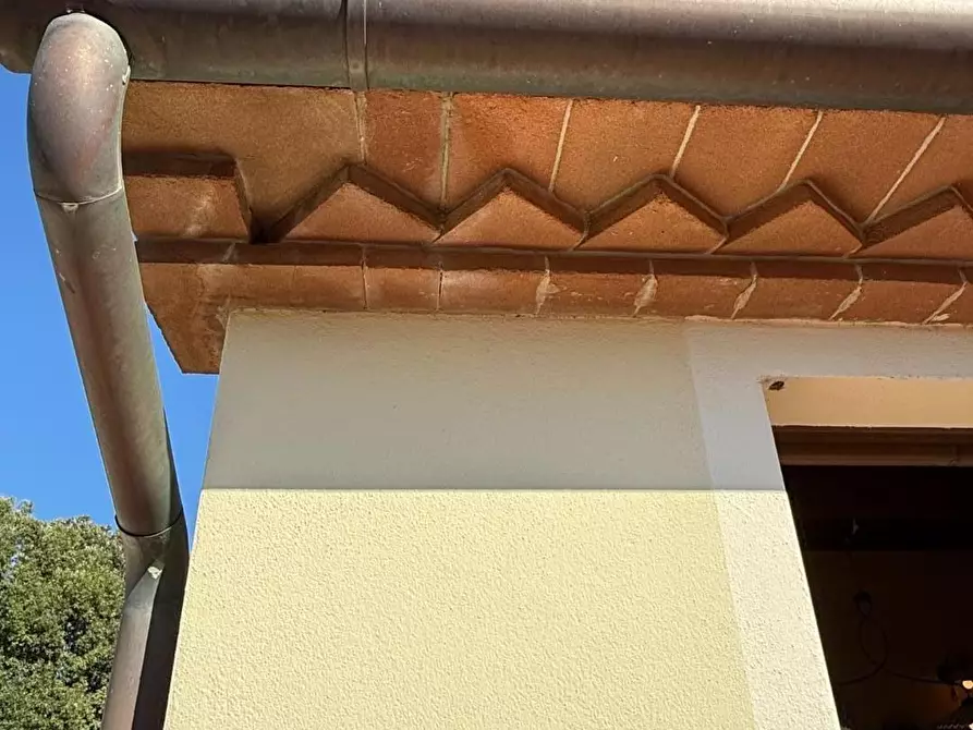 Immagine 23 di Appartamento in vendita  a Santa Luce