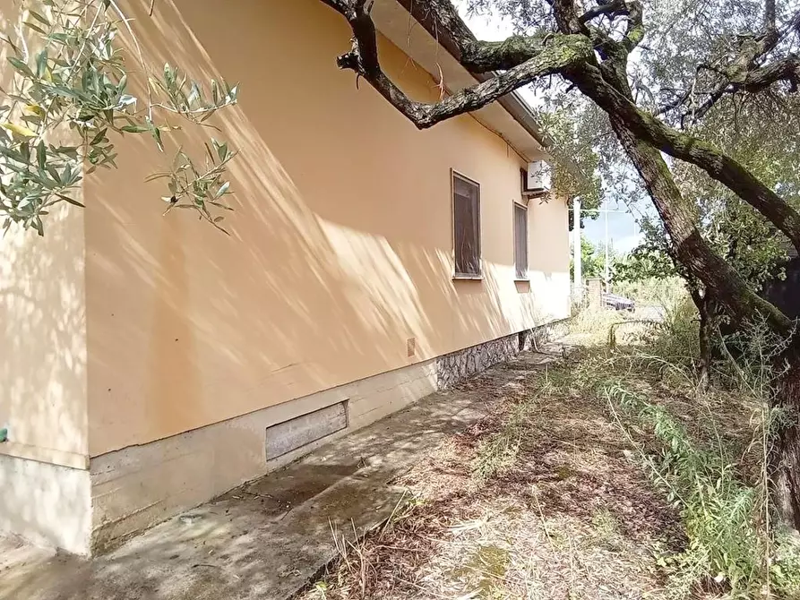 Immagine 87 di Casa indipendente in vendita  a Camaiore