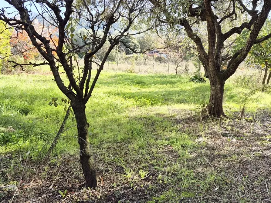 Immagine 86 di Casa indipendente in vendita  a Camaiore