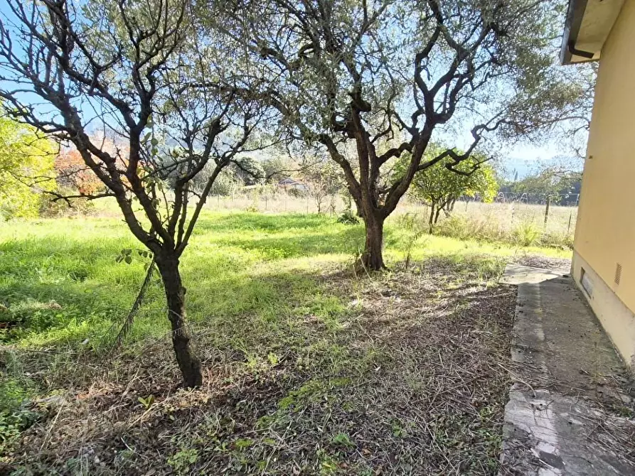 Immagine 82 di Casa indipendente in vendita  a Camaiore