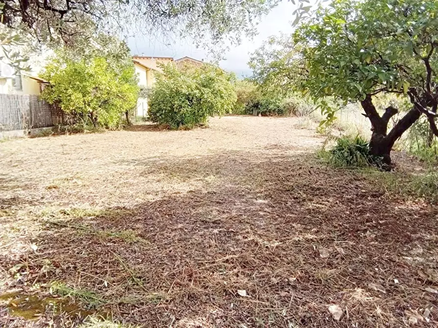 Immagine 85 di Casa indipendente in vendita  a Camaiore