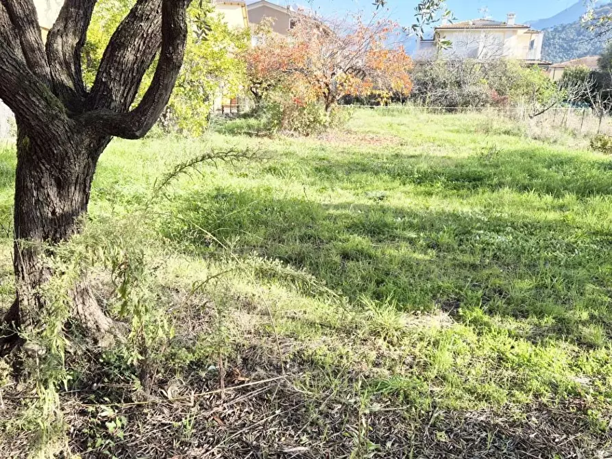 Immagine 83 di Casa indipendente in vendita  a Camaiore