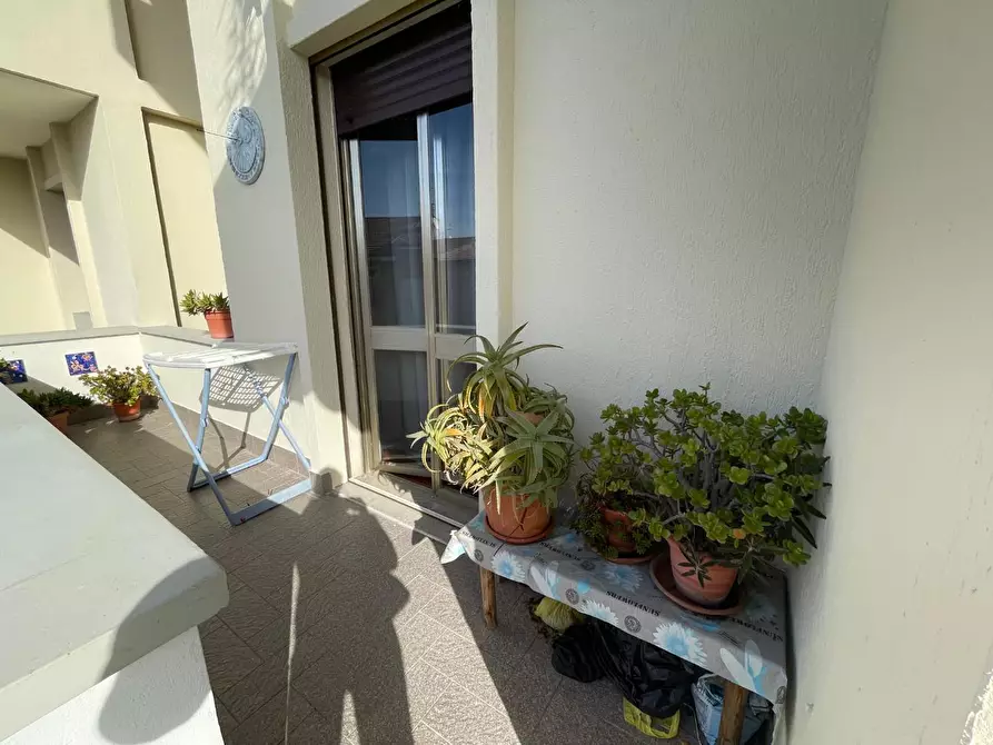 Immagine 11 di Appartamento in vendita  a Viareggio