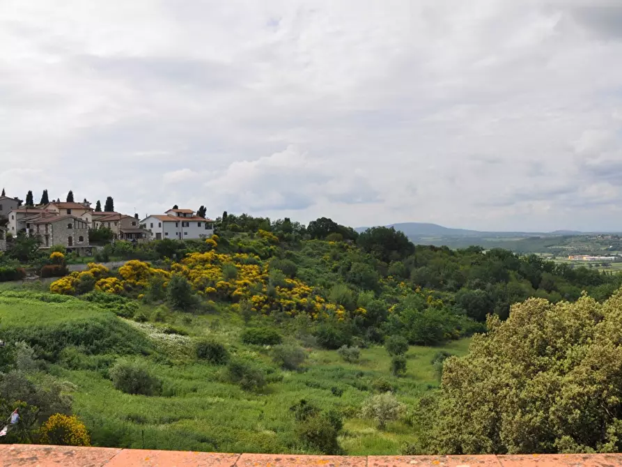 Immagine 41 di Villa in vendita  a Casole D'elsa