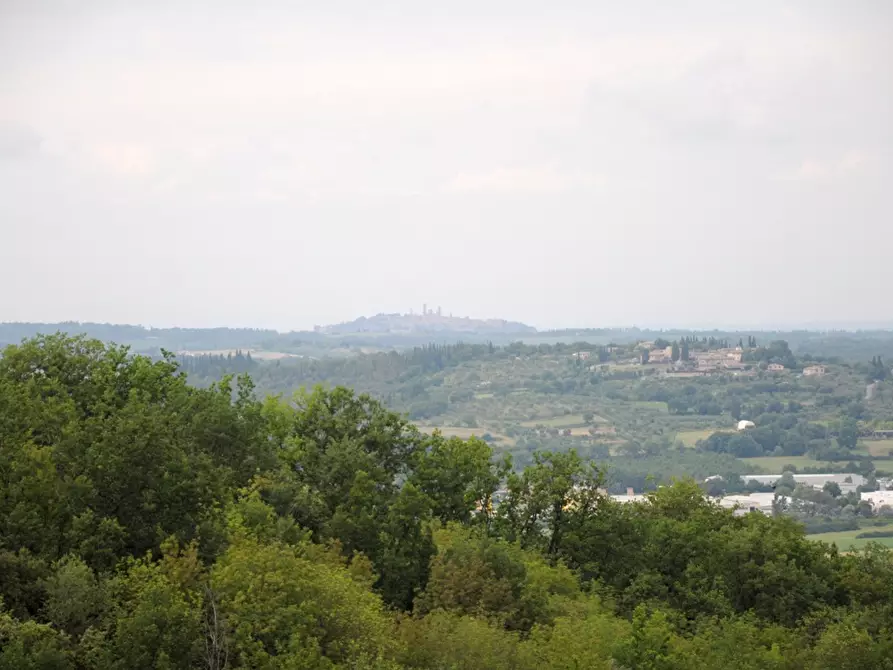 Immagine 19 di Villa in vendita  a Casole D'elsa