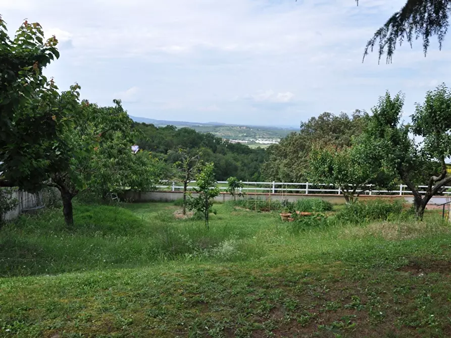 Immagine 35 di Villa in vendita  a Casole D'elsa