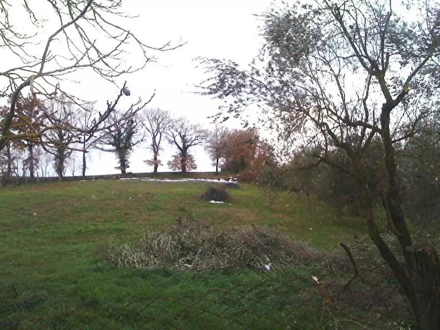 Immagine 4 di Rustico / casale in vendita  a Casole D'elsa