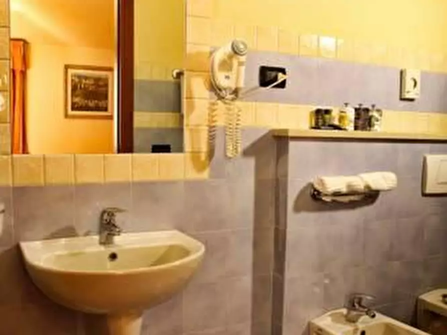 Immagine 8 di Albergo/B&B/Residence in vendita  a Altopascio