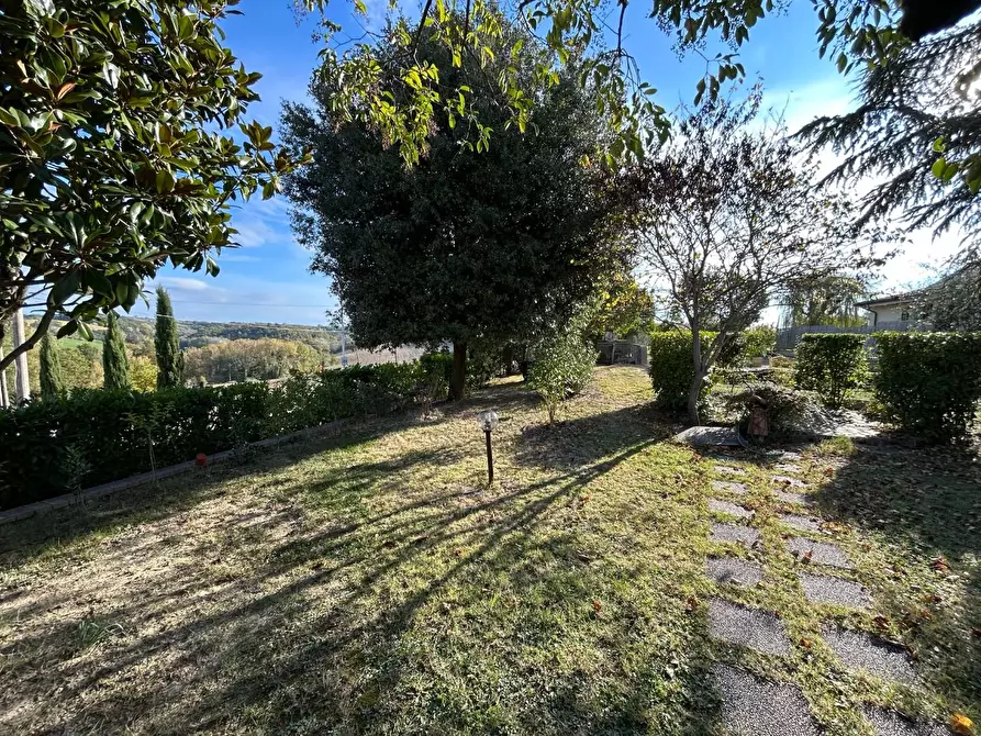 Immagine 8 di Casa colonica in vendita  a Castelnuovo Berardenga