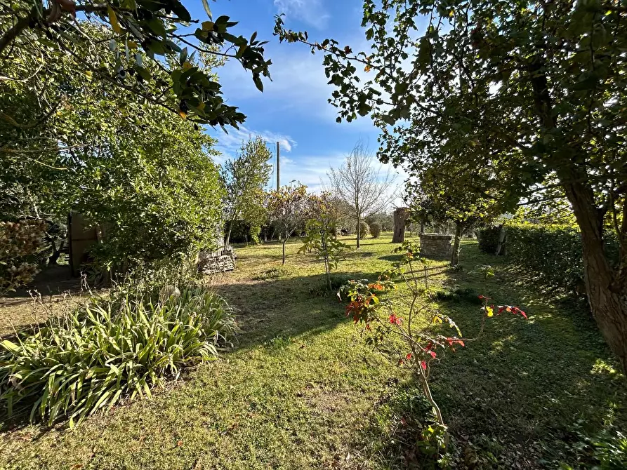 Immagine 7 di Casa colonica in vendita  a Castelnuovo Berardenga