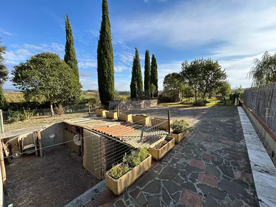 Immagine 6 di Casa colonica in vendita  a Castelnuovo Berardenga