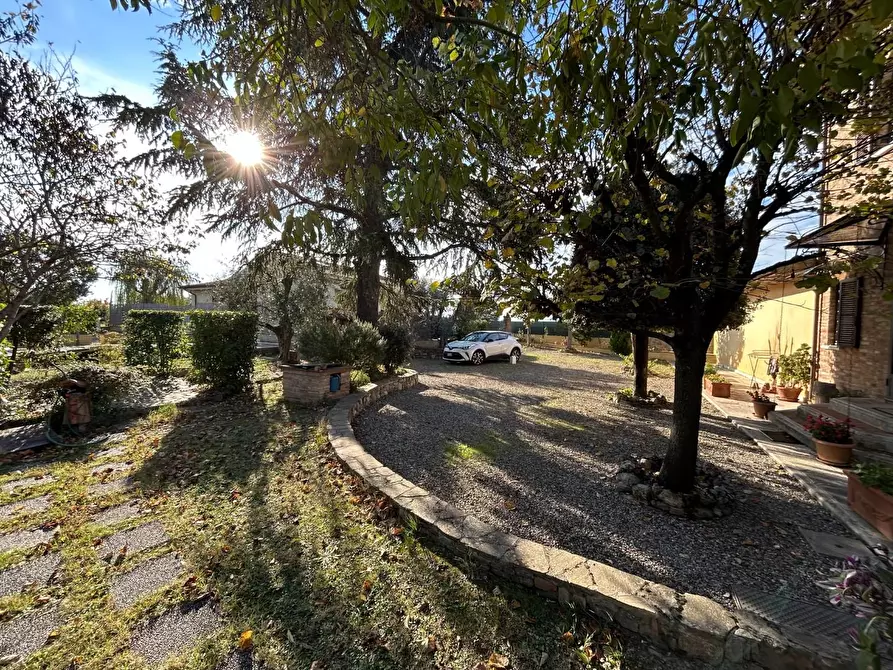 Immagine 9 di Casa colonica in vendita  a Castelnuovo Berardenga