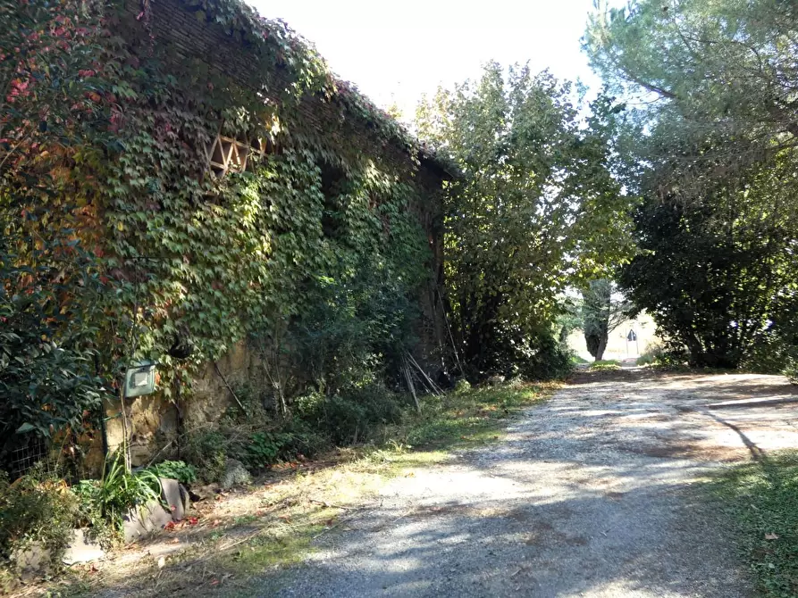 Immagine 15 di Casa colonica in vendita  a San Gimignano