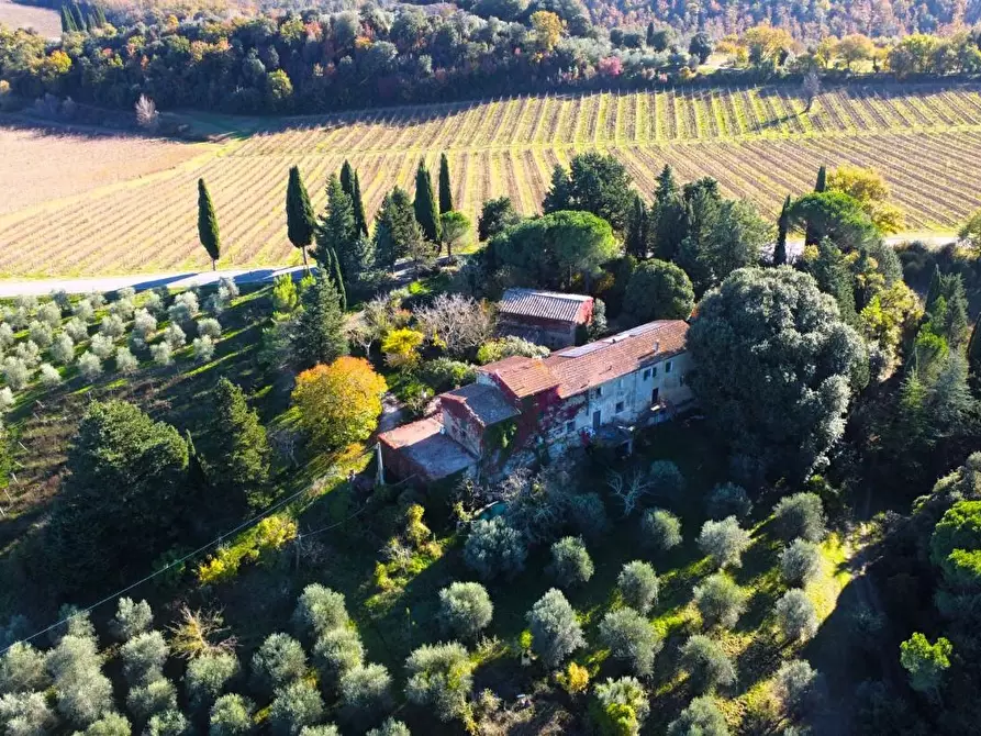 Immagine 6 di Casa colonica in vendita  a San Gimignano