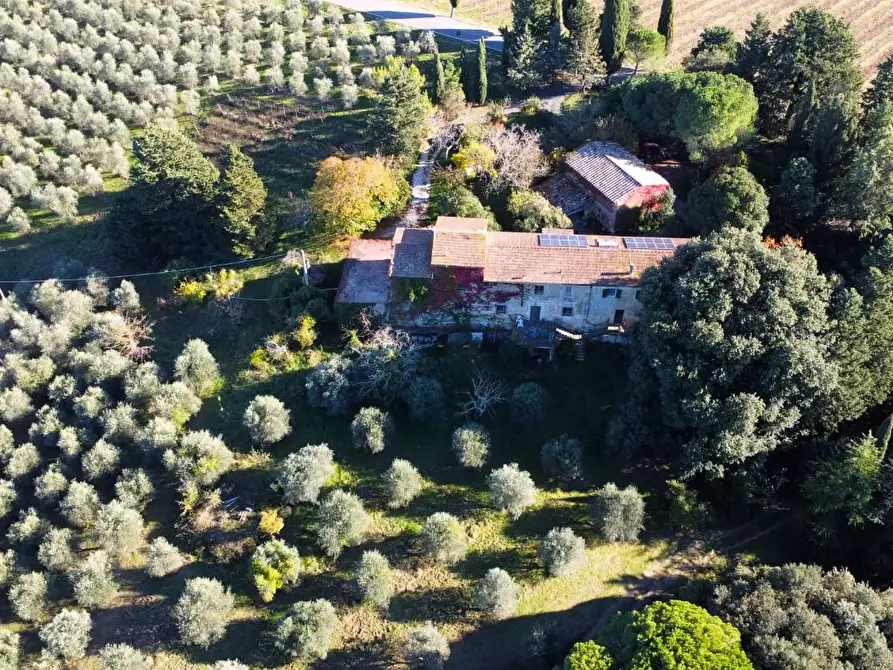 Immagine 5 di Casa colonica in vendita  a San Gimignano
