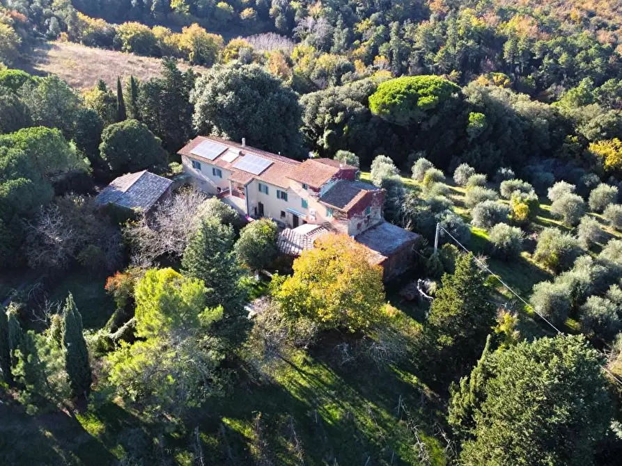 Immagine 3 di Casa colonica in vendita  a San Gimignano
