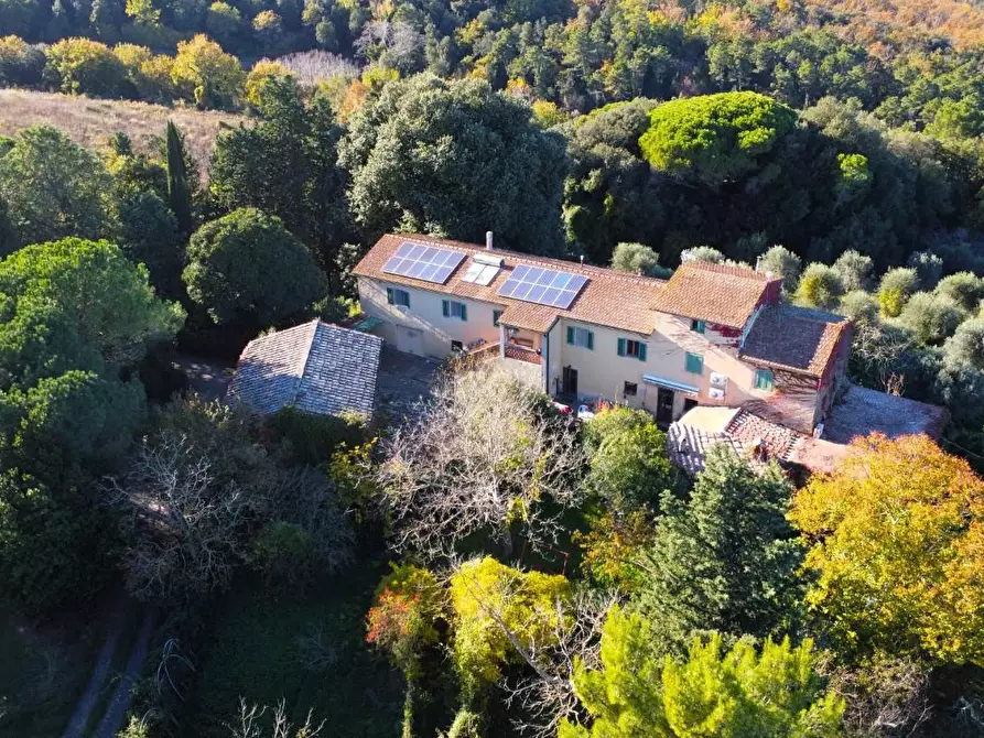 Immagine 1 di Casa colonica in vendita  a San Gimignano