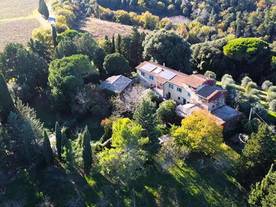 Immagine 8 di Casa colonica in vendita  a San Gimignano