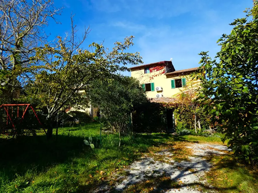 Immagine 13 di Casa colonica in vendita  a San Gimignano