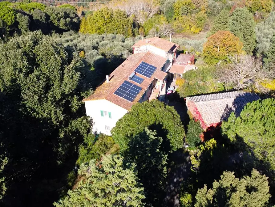 Immagine 4 di Casa colonica in vendita  a San Gimignano