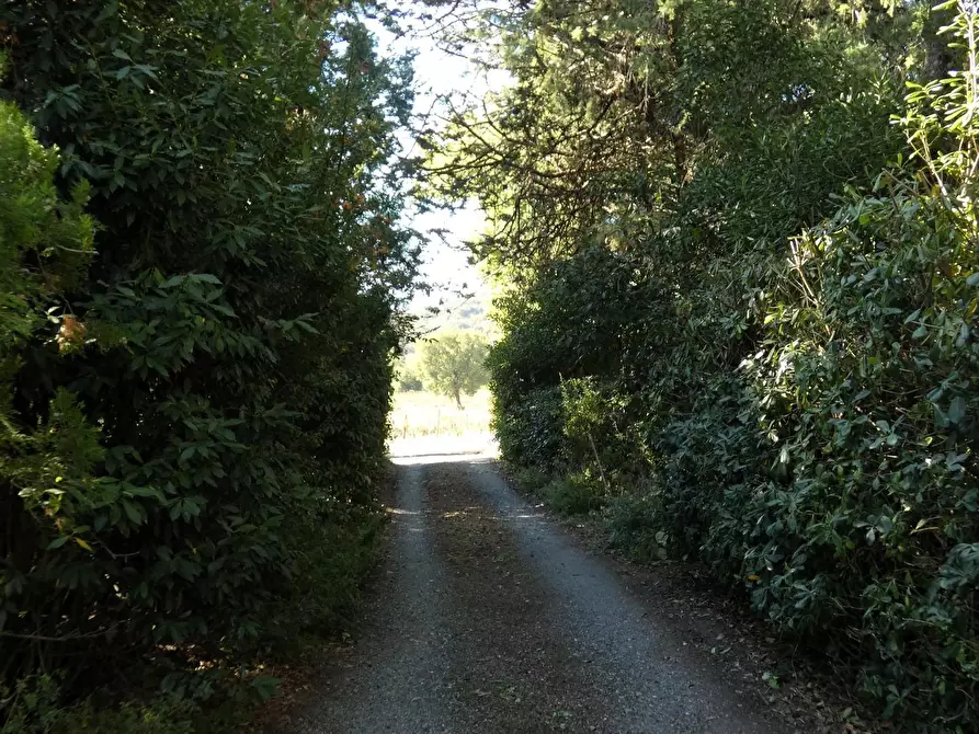 Immagine 18 di Casa colonica in vendita  a San Gimignano
