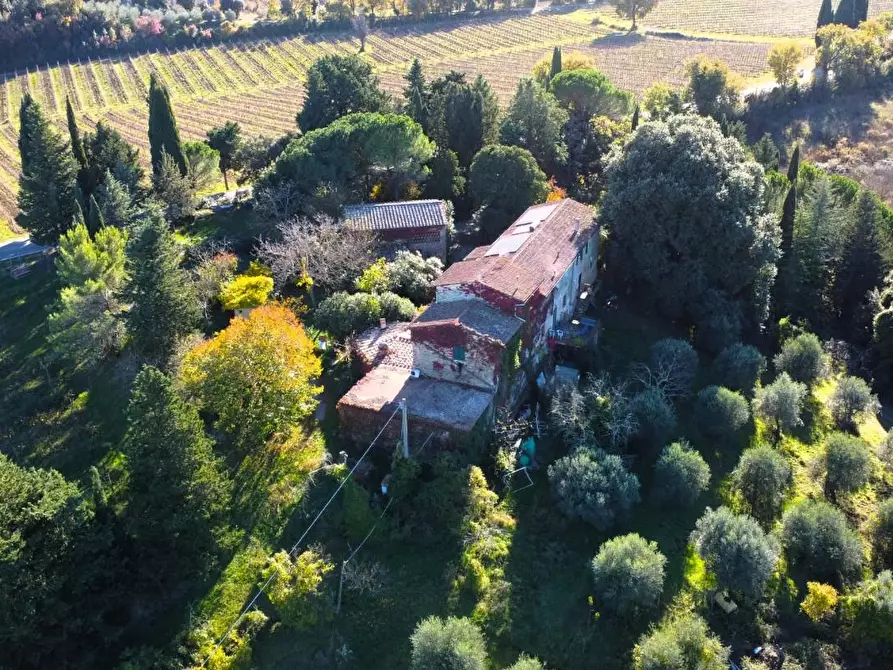 Immagine 7 di Casa colonica in vendita  a San Gimignano