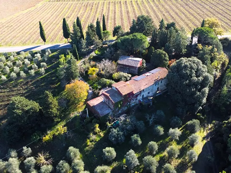 Immagine 2 di Casa colonica in vendita  a San Gimignano