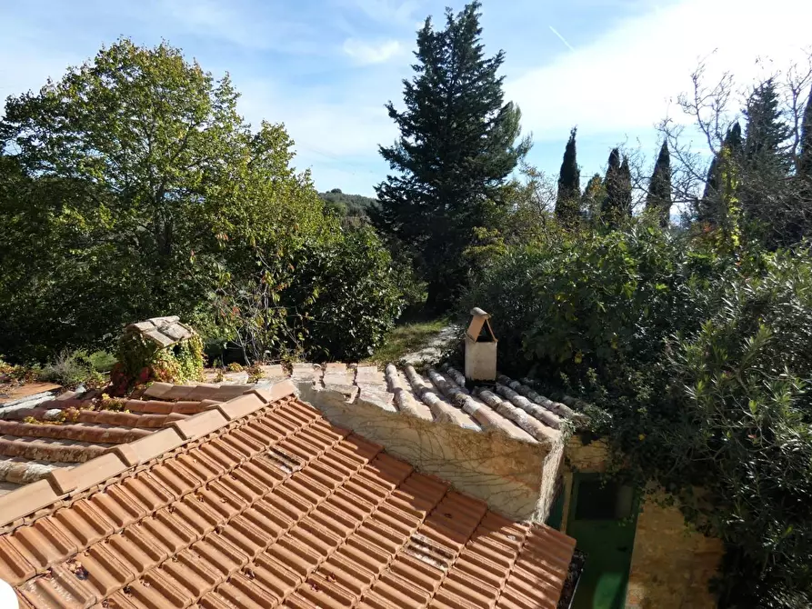 Immagine 36 di Casa colonica in vendita  a San Gimignano