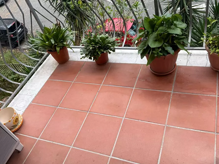 Immagine 17 di Appartamento in vendita  a Carrara