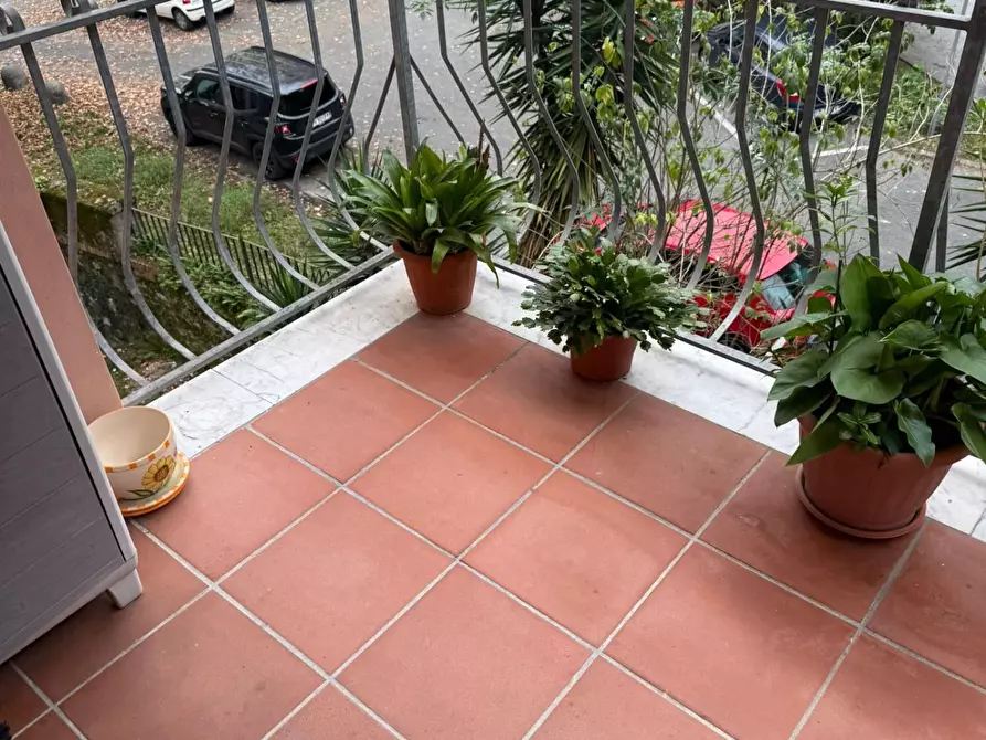 Immagine 24 di Appartamento in vendita  a Carrara