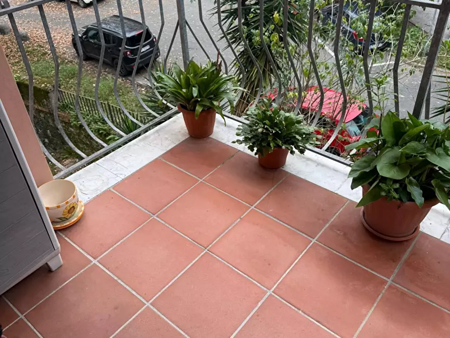 Immagine 13 di Appartamento in vendita  a Carrara