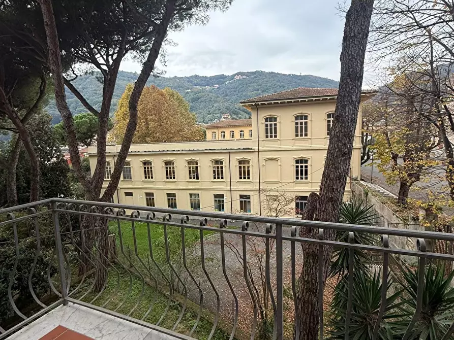 Immagine 22 di Appartamento in vendita  a Carrara