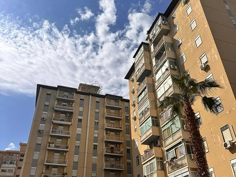 Immagine 14 di Appartamento in vendita  a Palermo