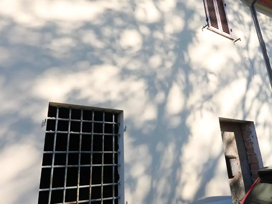 Immagine 6 di Terratetto in vendita  a Vicopisano