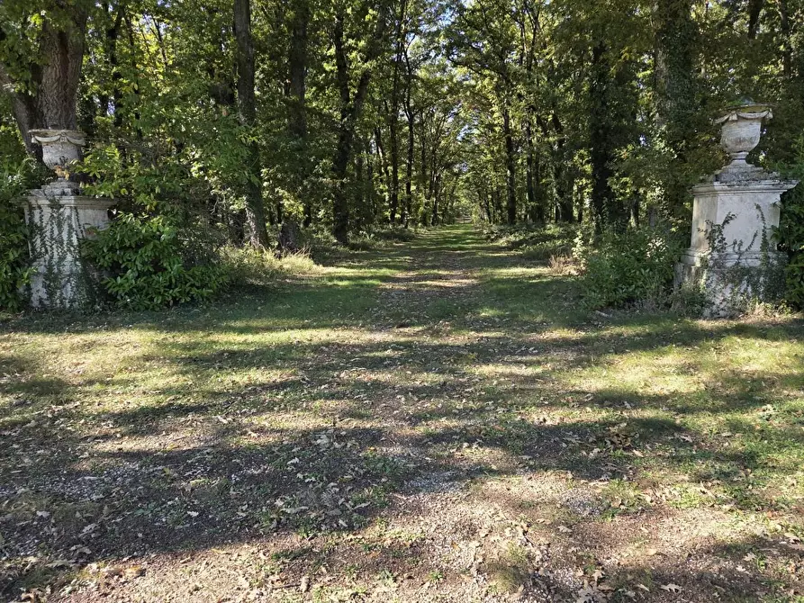 Immagine 3 di Villa in vendita  a Monteriggioni