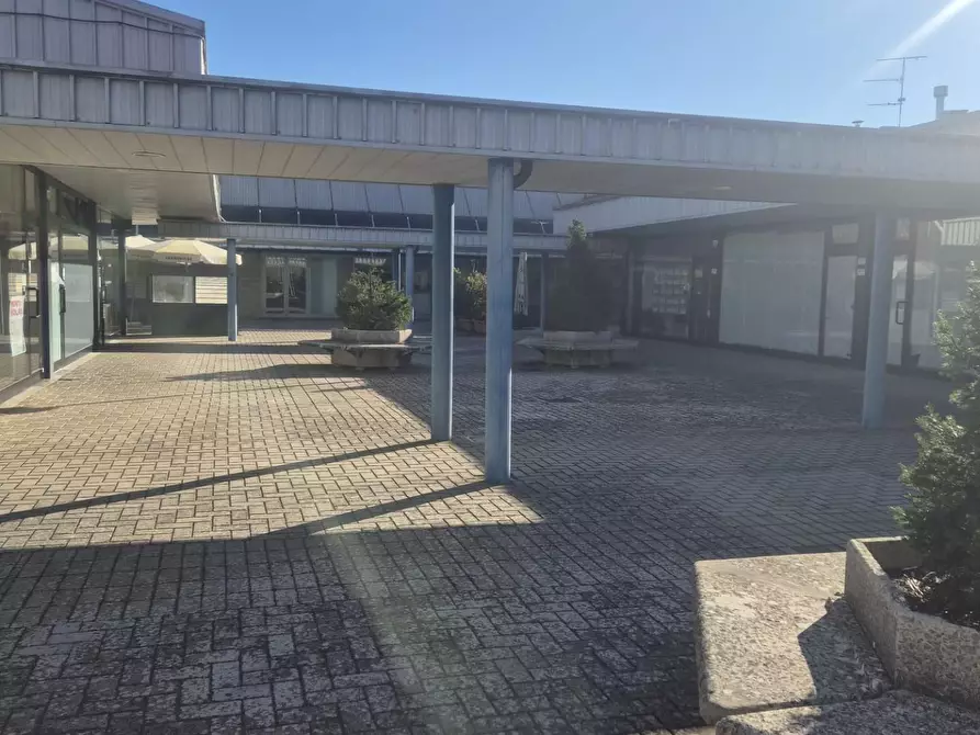 Immagine 3 di Attività commerciale in vendita  a Monteroni D'arbia