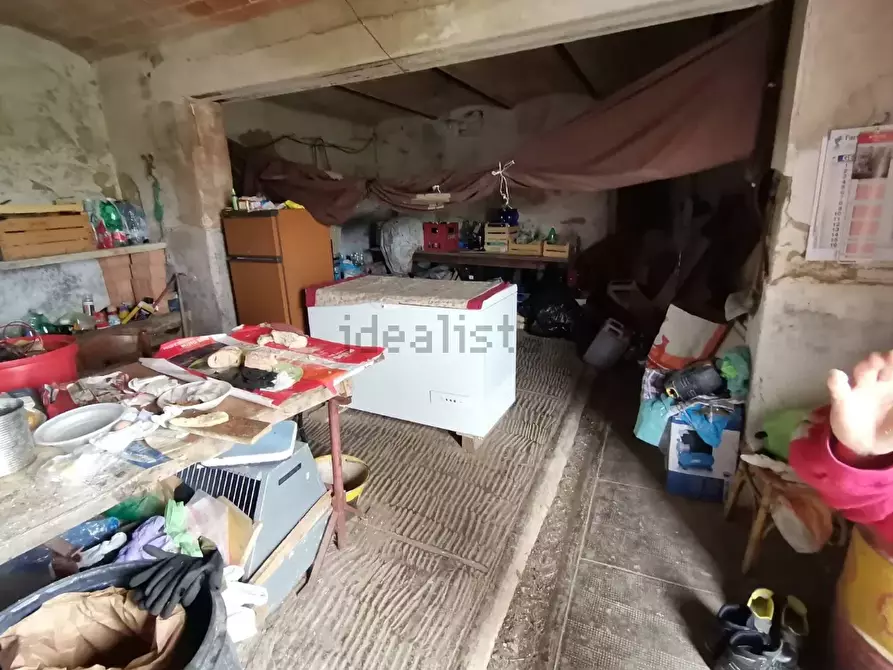 Immagine 8 di Casa colonica in vendita  a Palaia