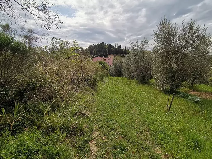 Immagine 12 di Casa colonica in vendita  a Palaia