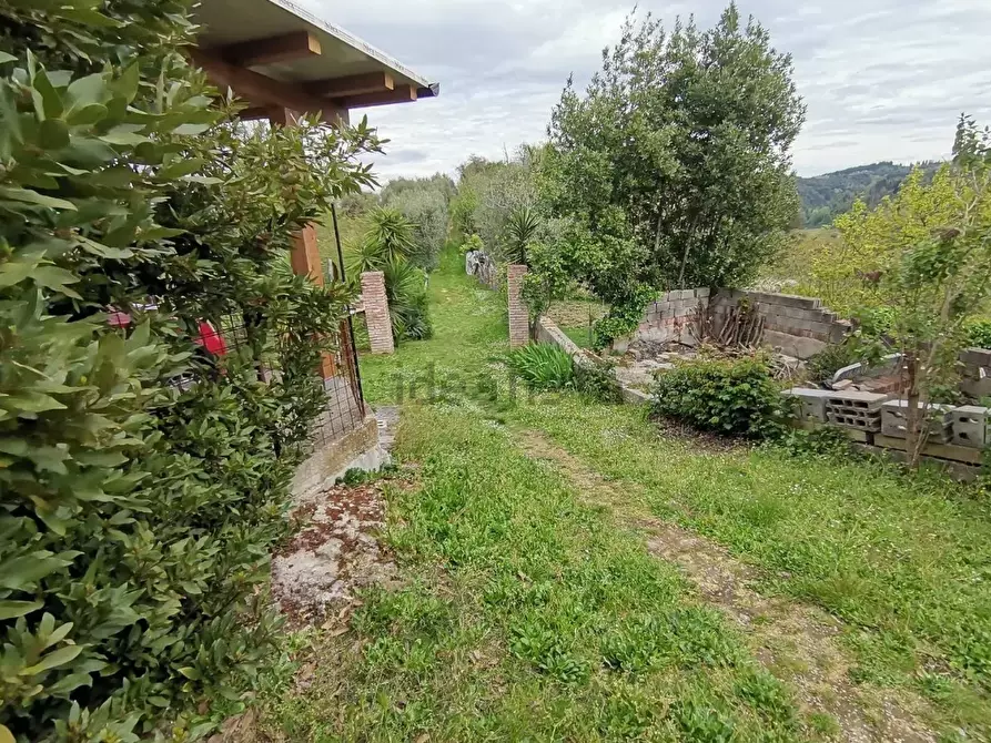 Immagine 10 di Casa colonica in vendita  a Palaia